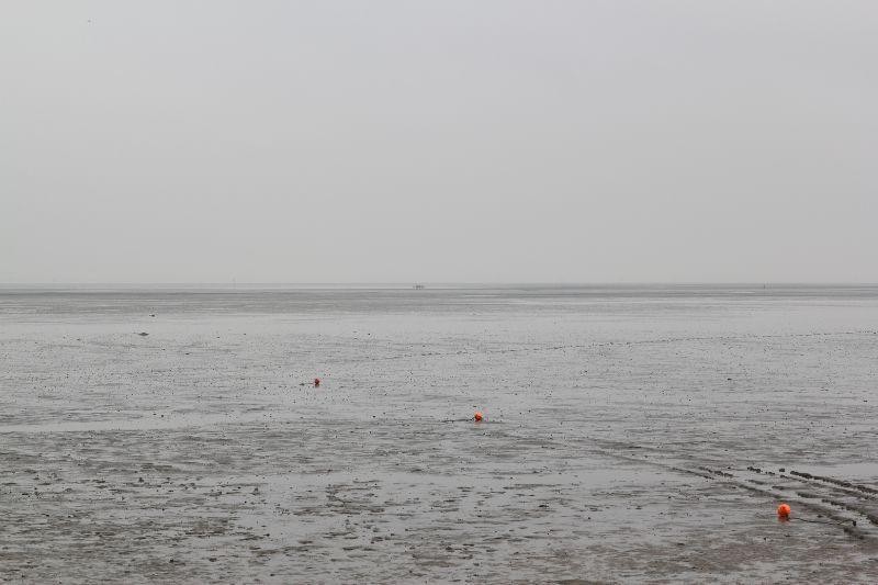 ที่มาของชื่อกาตะลิมปิก