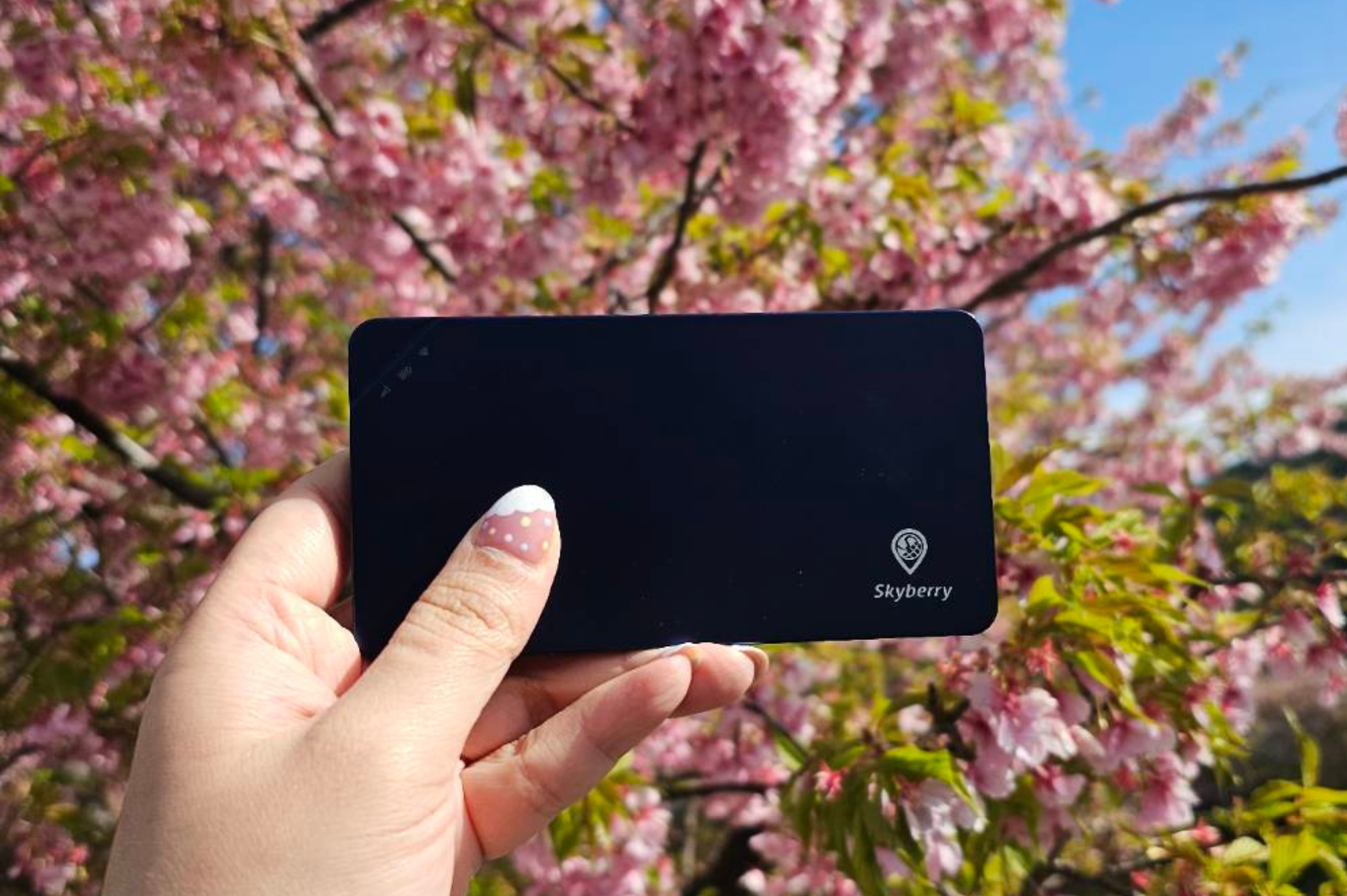 Pocket WiFi features