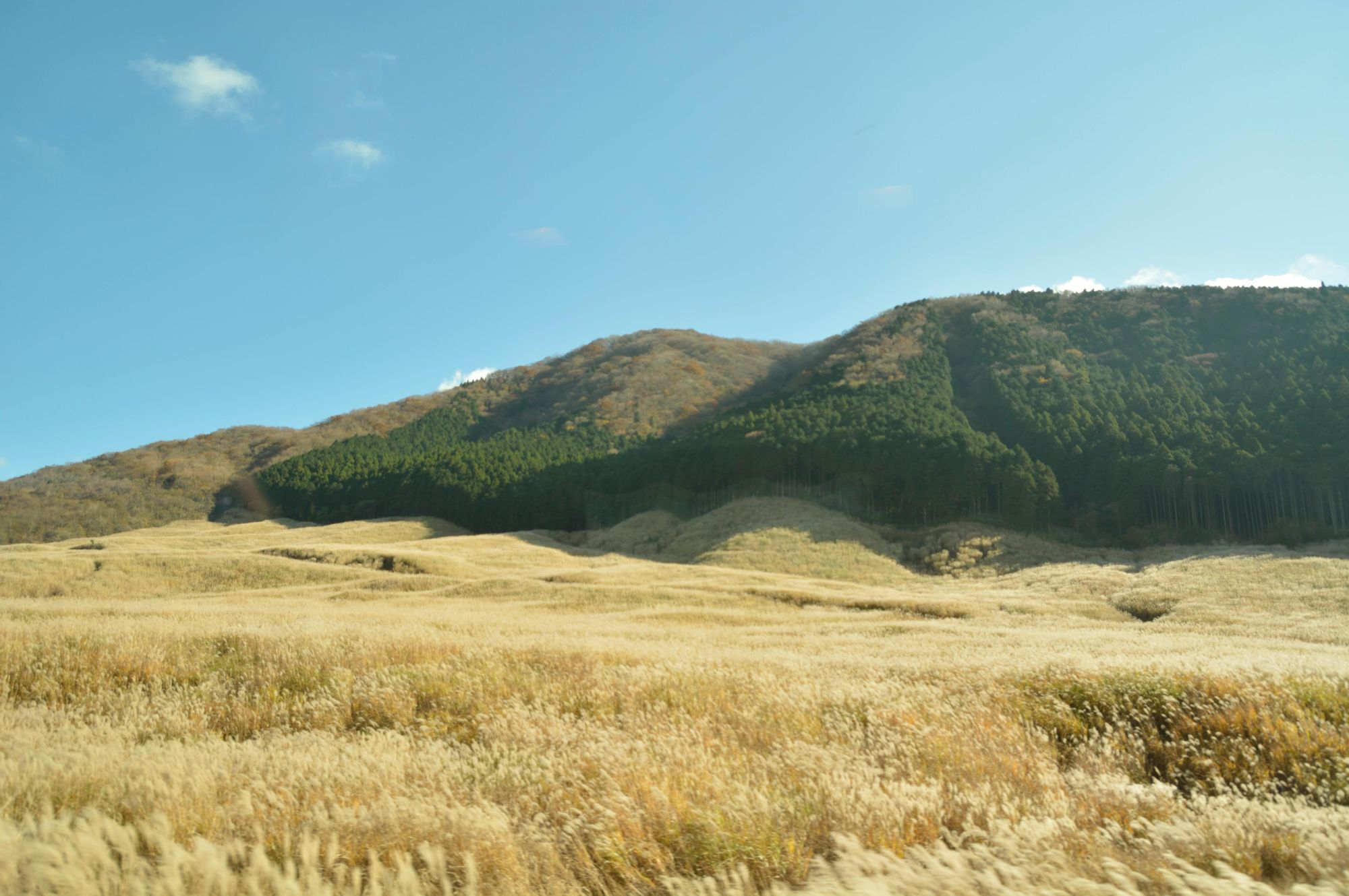 ที่ราบซานุกิ (Sanuki Plain)