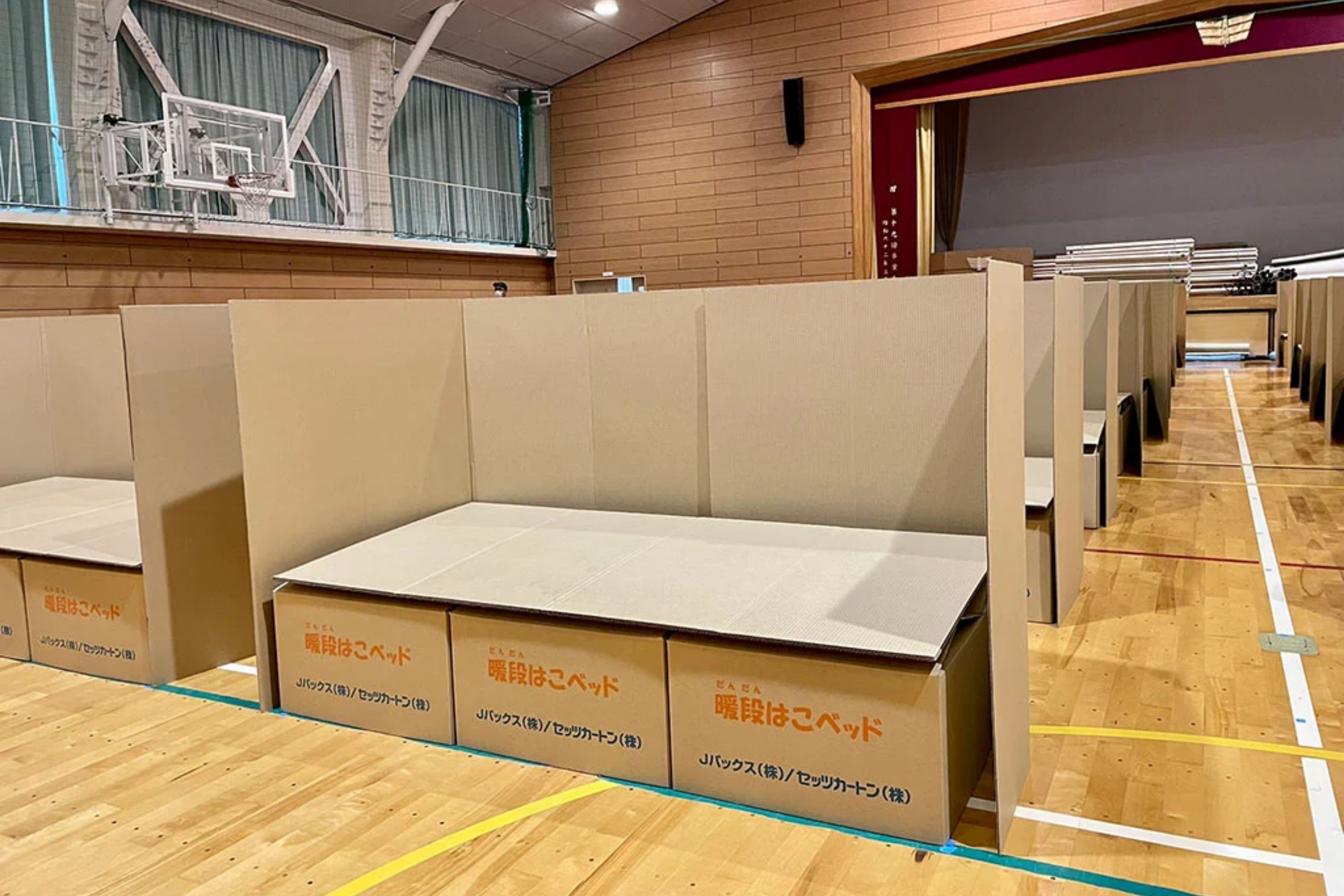 เตียงกระดาษลูกฟูก Cardboard Beds 1