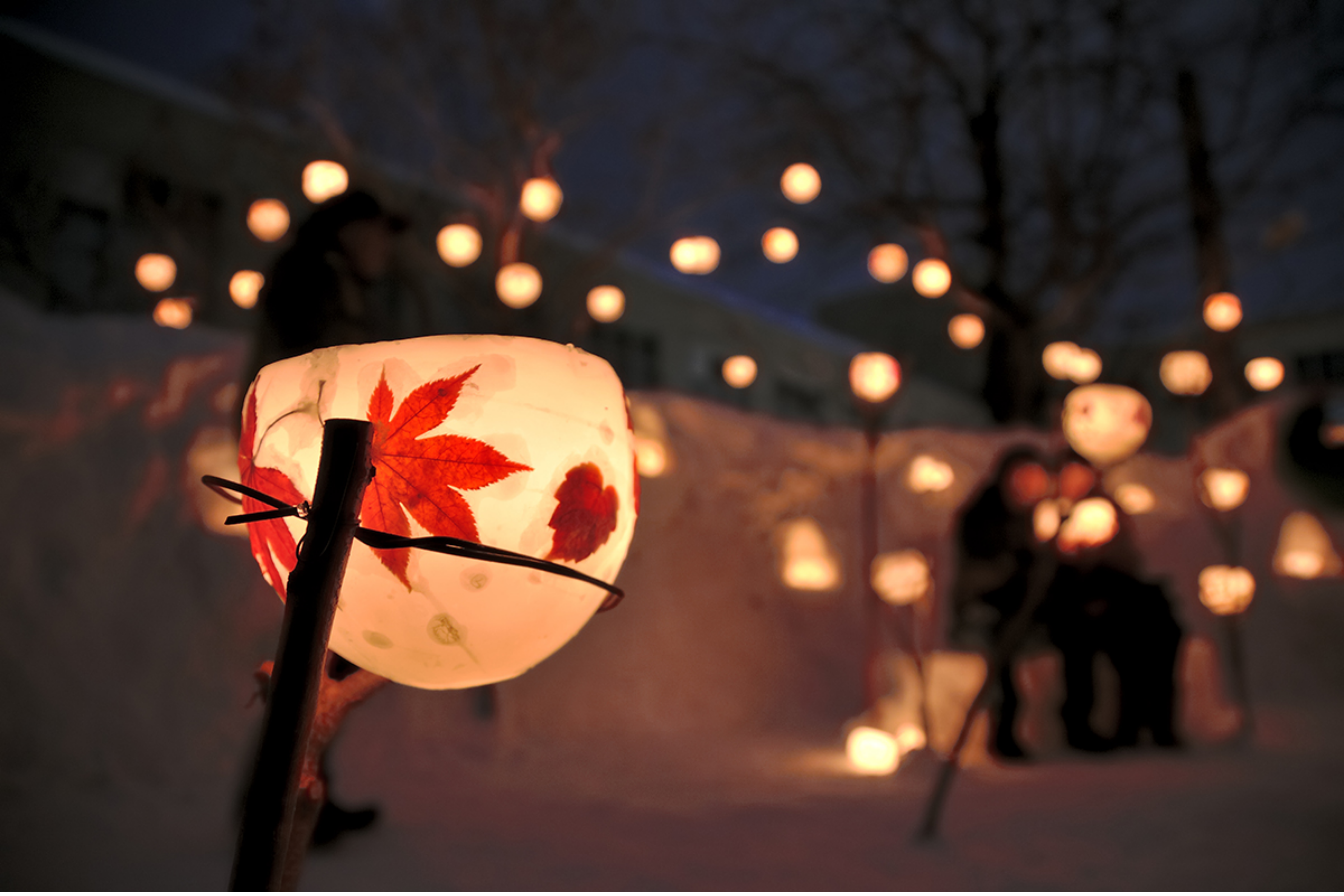 เทศกาลเส้นทางแสงหิมะโอตารุ (Otaru Yuki Akari no Michi)