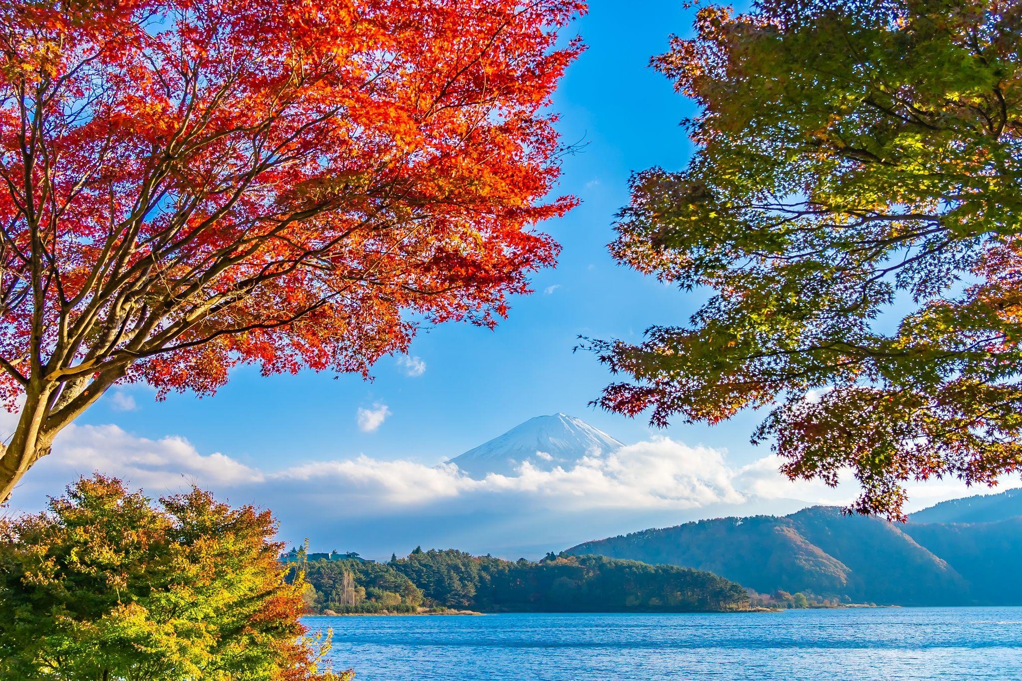 อันซีนเจแปน : มาทำความรู้จัก<br />เมืองยามานาชิ