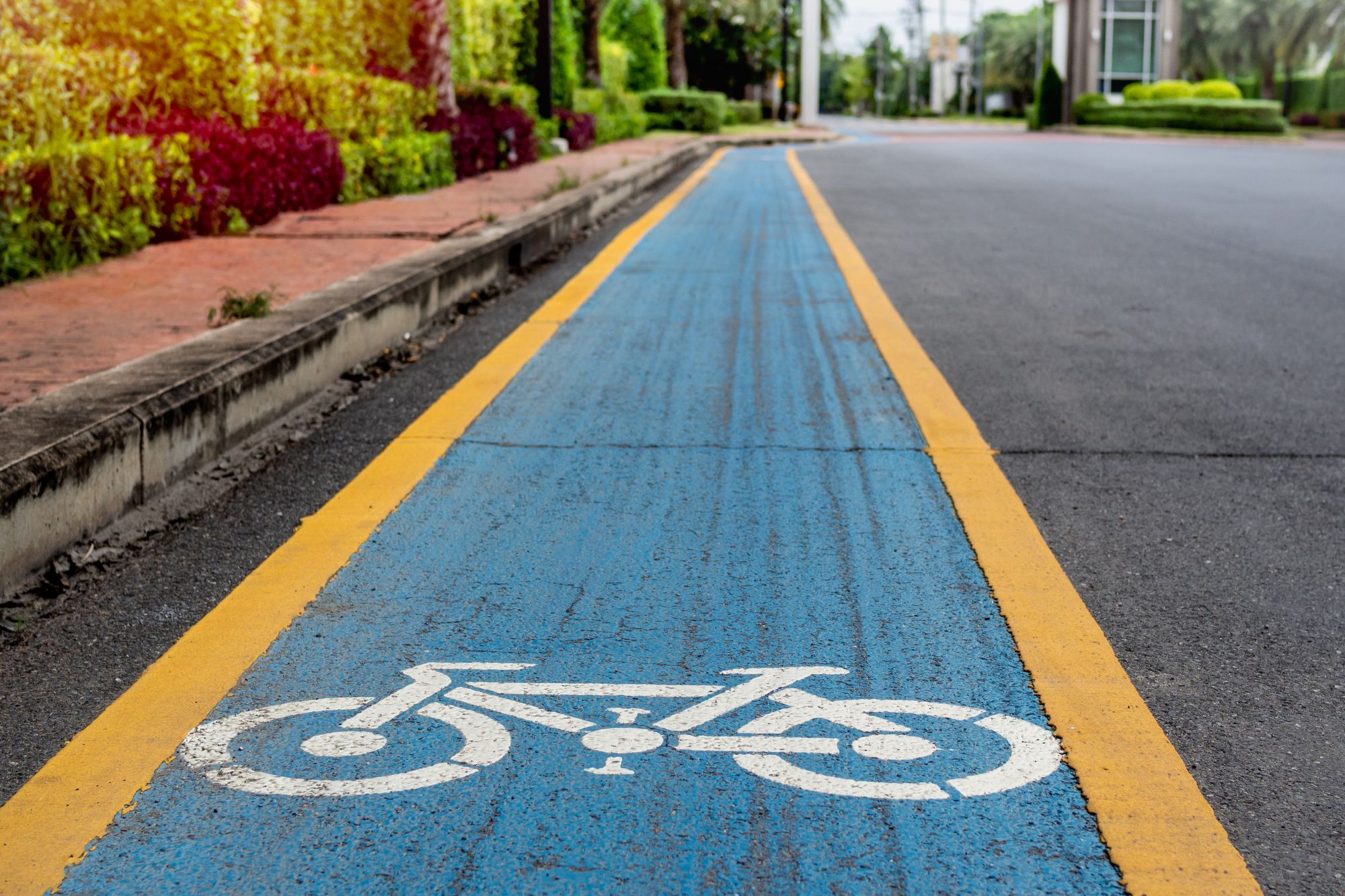 ตัวอักษร 止まれ บนถนน