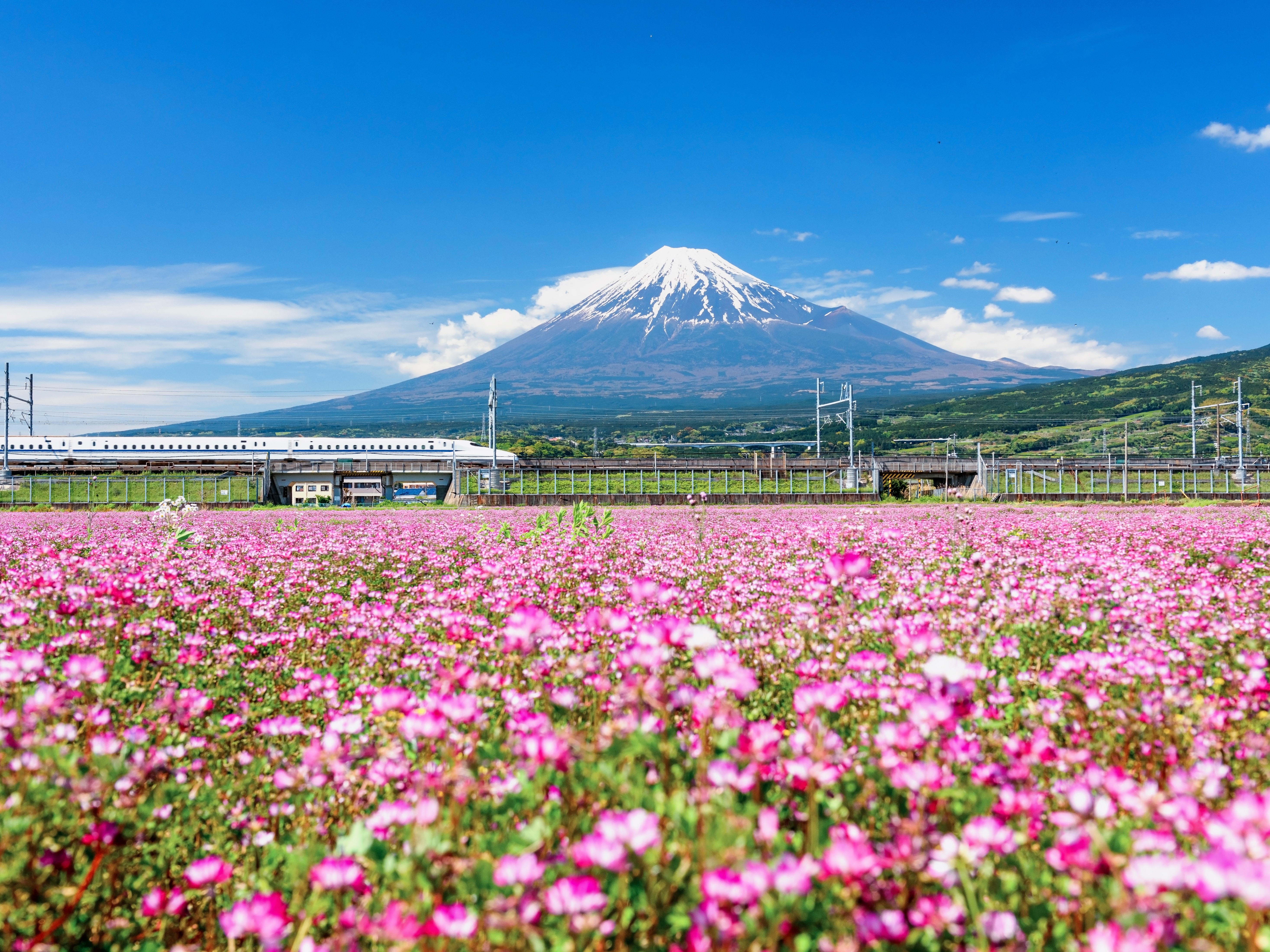 ท่องเที่ยว